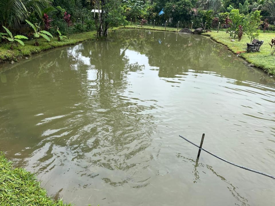 Chácara Belas Águas House in Cachoeiras de Macacu