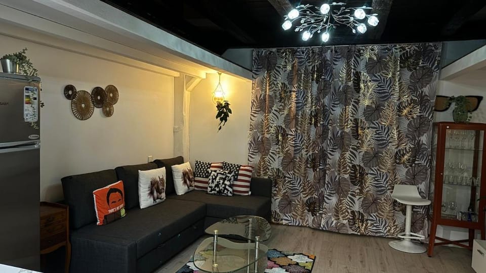 Cosy loft au coeur de Nantes centre ville Apartment in Nantes