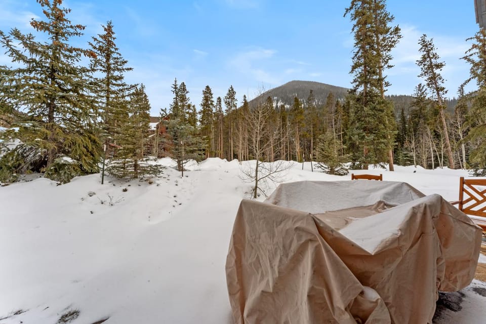 Ski Tip #8716 Apartment in Keystone