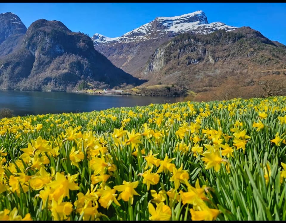Spring