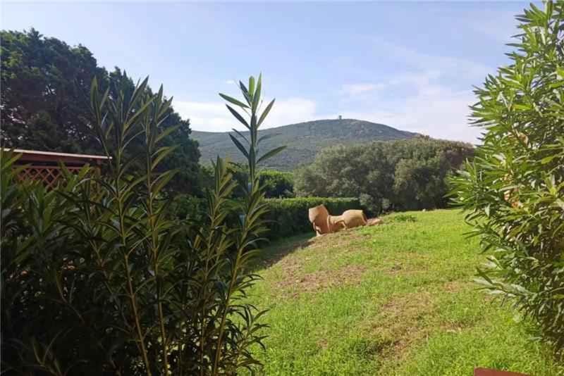 Nearby landmark, Summer