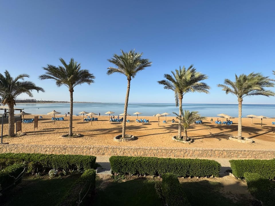 View (from property/room), Beach, Sea view, sunbed