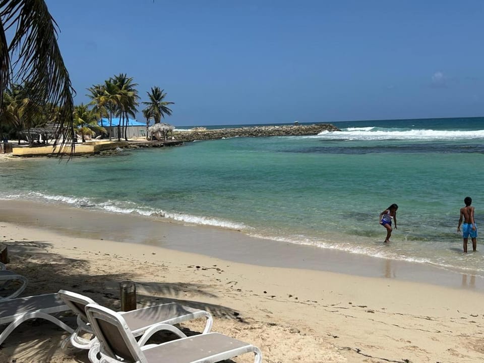 Le Nid d'Amour Créole - Studio romantique avec accès au lagon et à la piscine XXL de 1 000 m2 - Saint-François Apartment in Grande-Terre, Guadeloupe