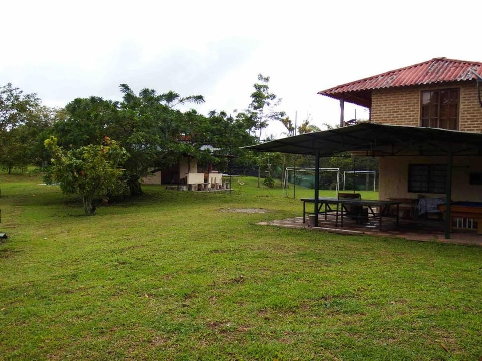 Natural landscape, Garden, Garden view