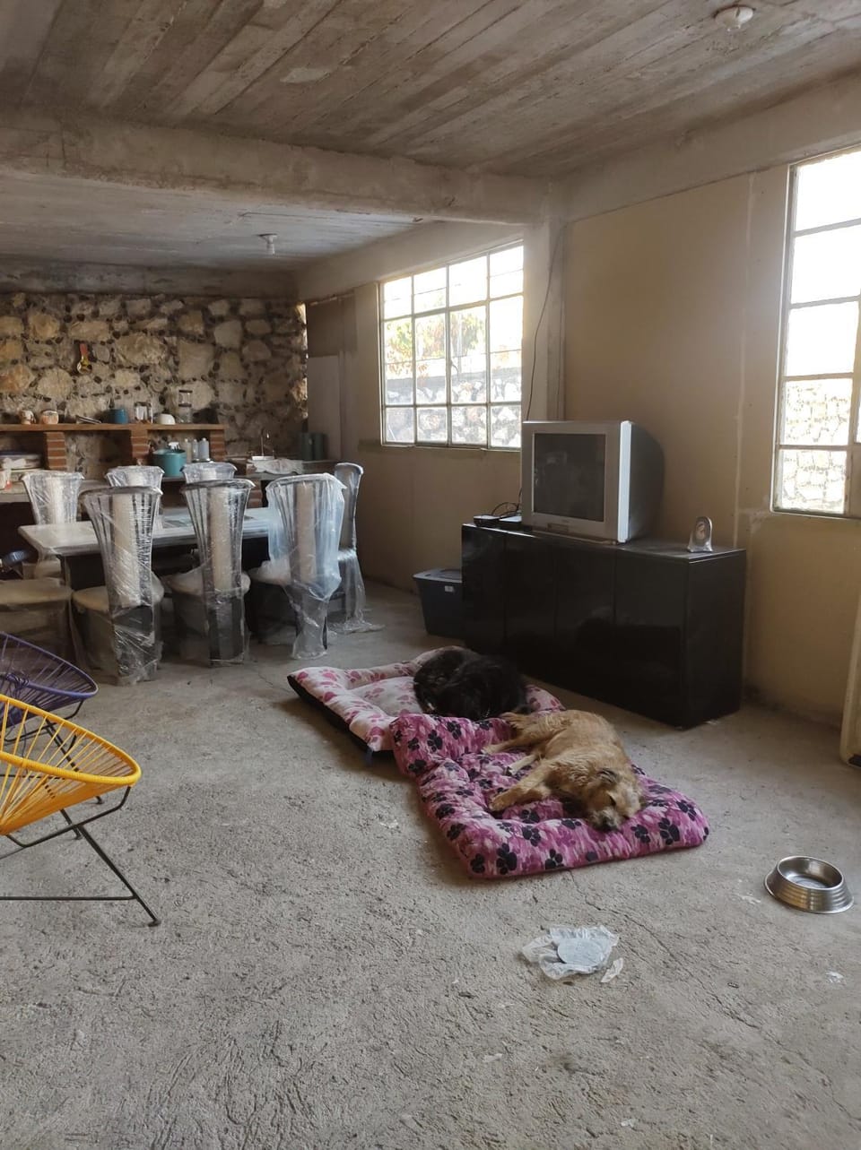 Nada y acampa con tus perritos Luxury tent in State of Morelos