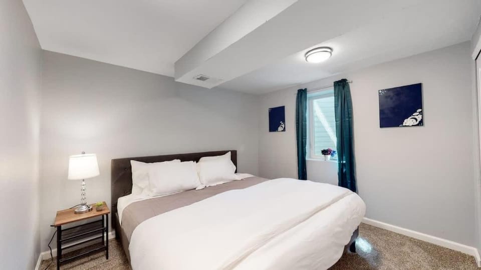 Spacious Lower Unit Updated Two King Beds in Denver House in Thornton