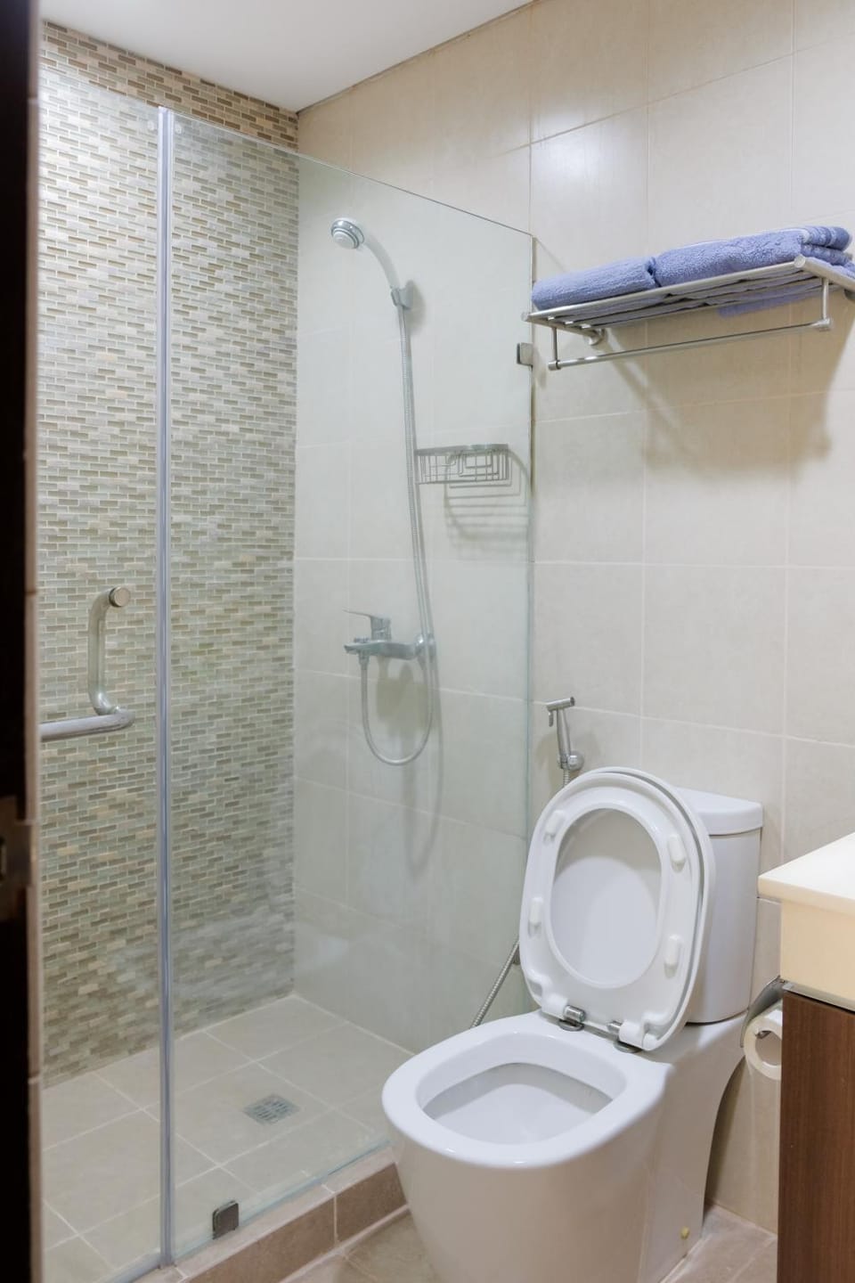 Shower, Toilet, Bathroom, towels