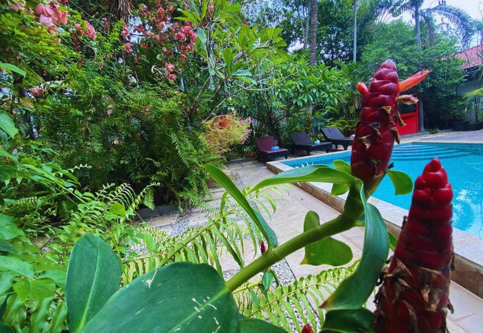 Garden, Balcony/Terrace, Pool view, Swimming pool