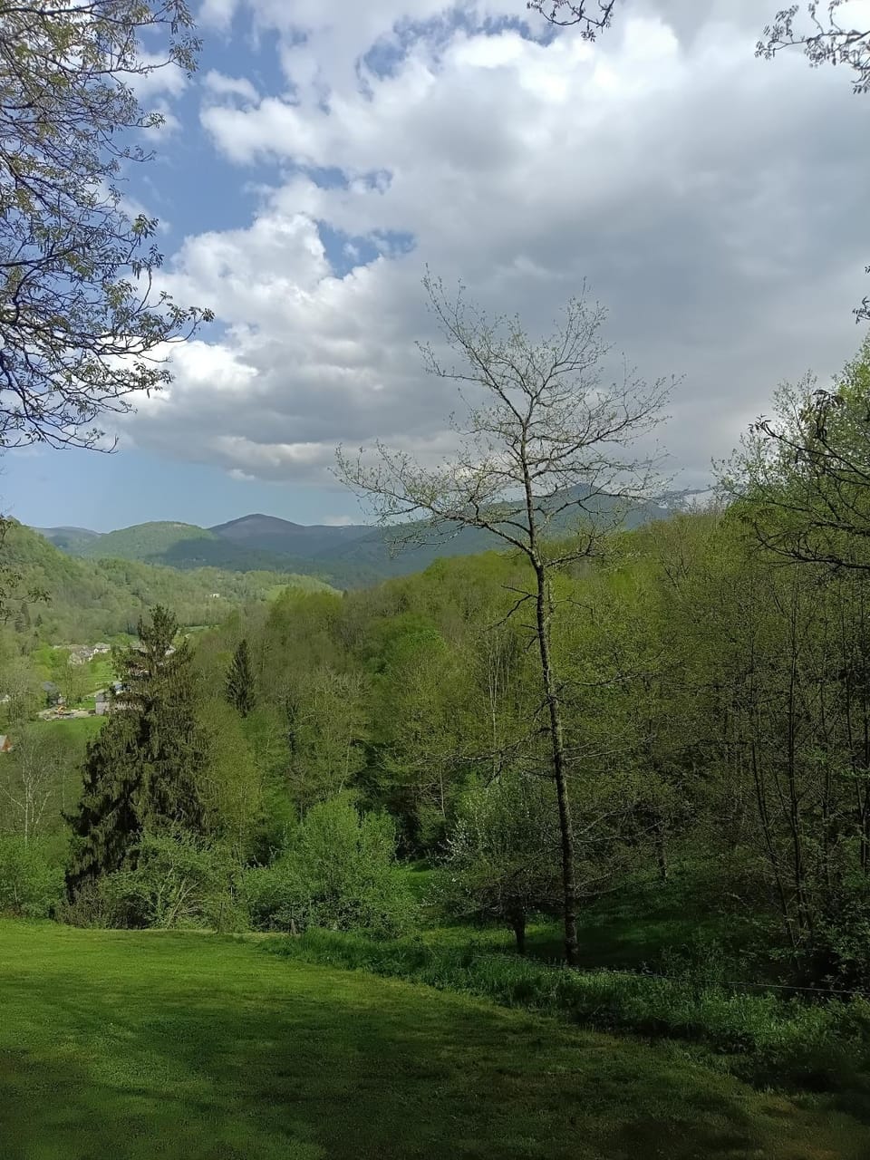 Spring, Natural landscape