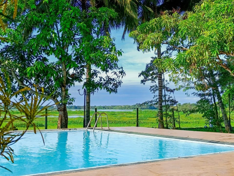 Pool view, Swimming pool