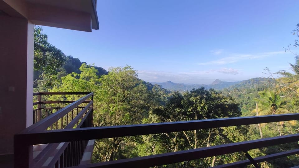 View (from property/room)