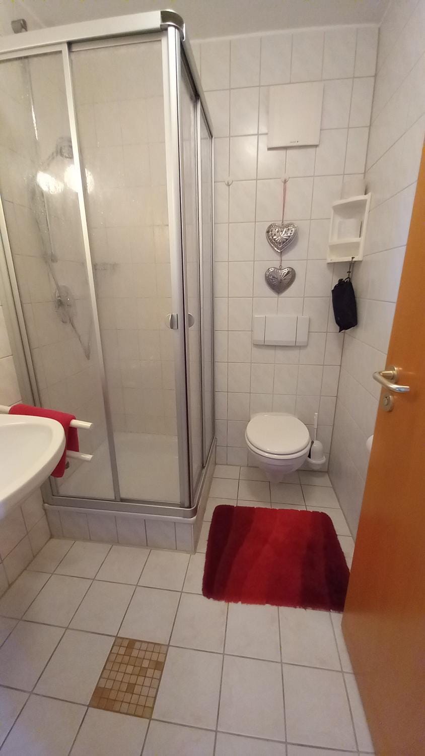 Shower, Toilet, Bathroom, towels