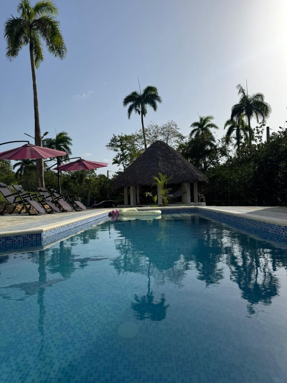 Swimming pool, sunbed