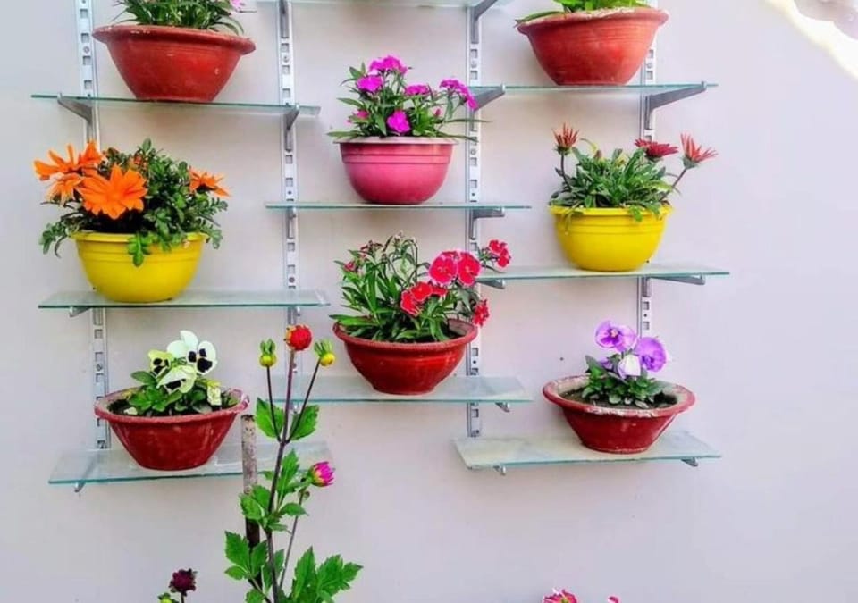 Garden view