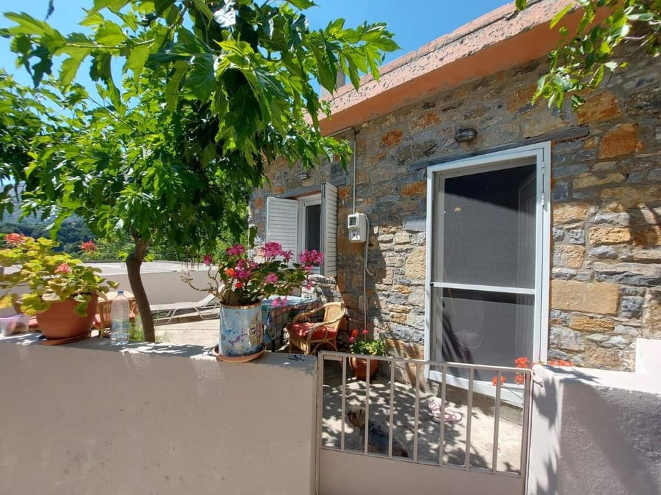 Property building, Patio, Spring, Day, Garden, Garden view