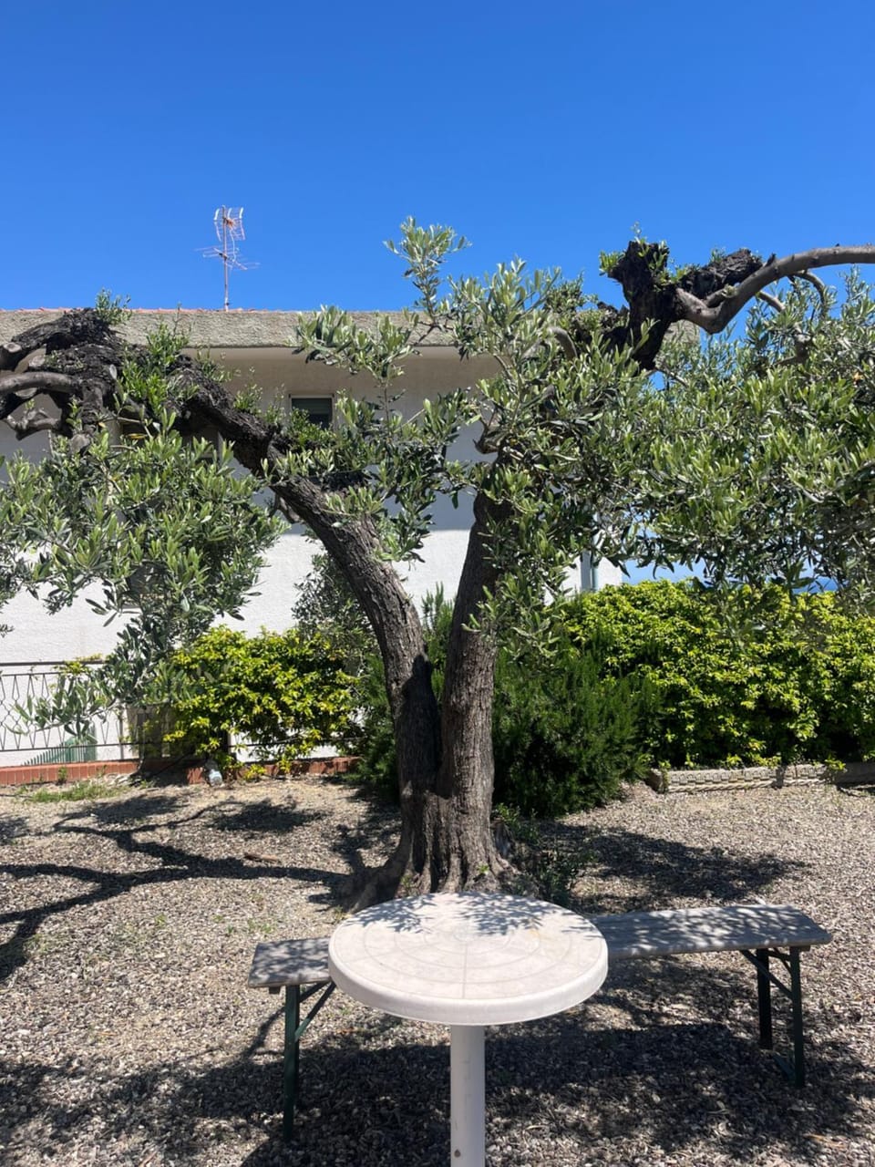 Appartamento Nena Apartment in Laigueglia