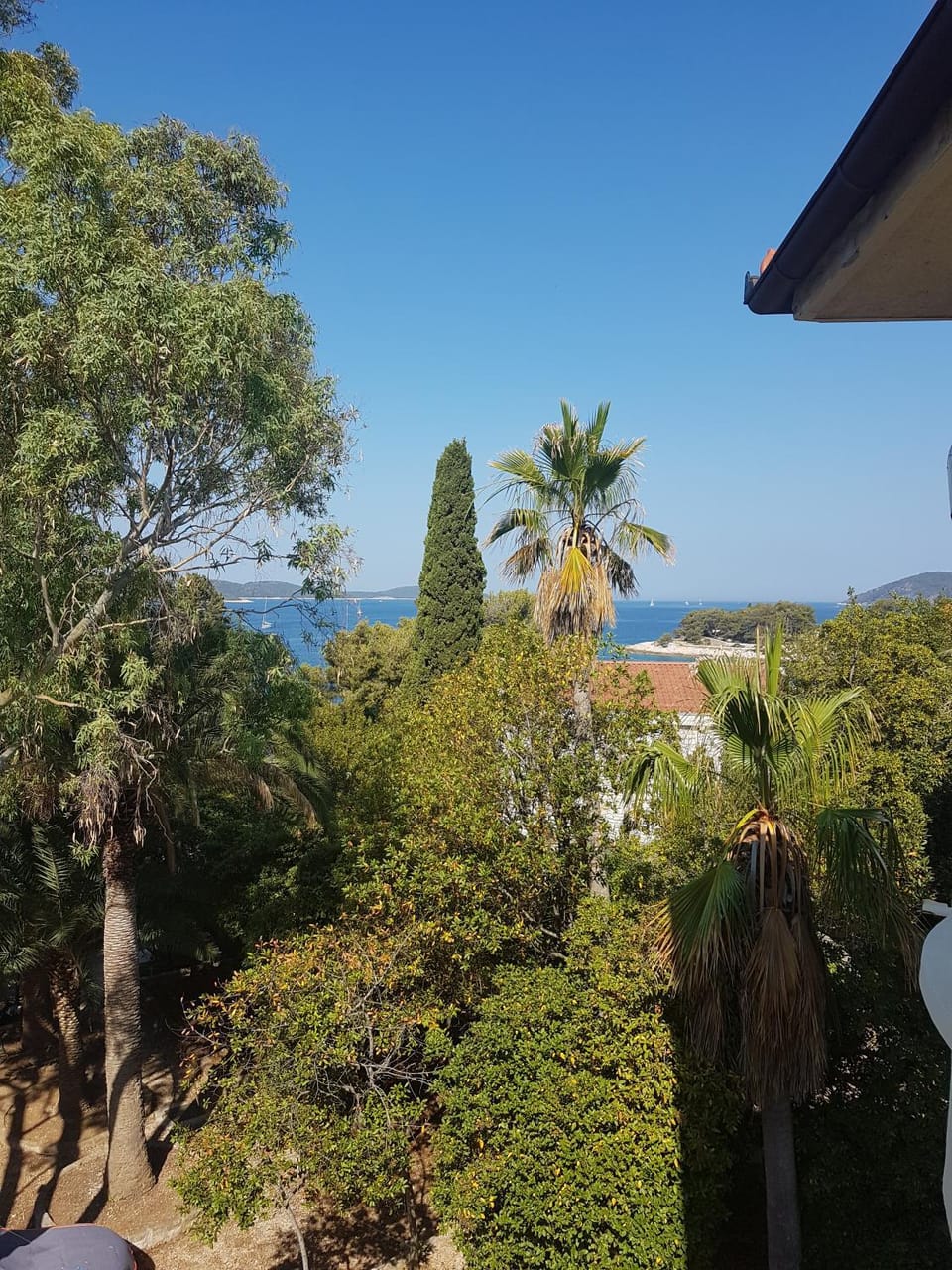 Garden, Garden view, Sea view