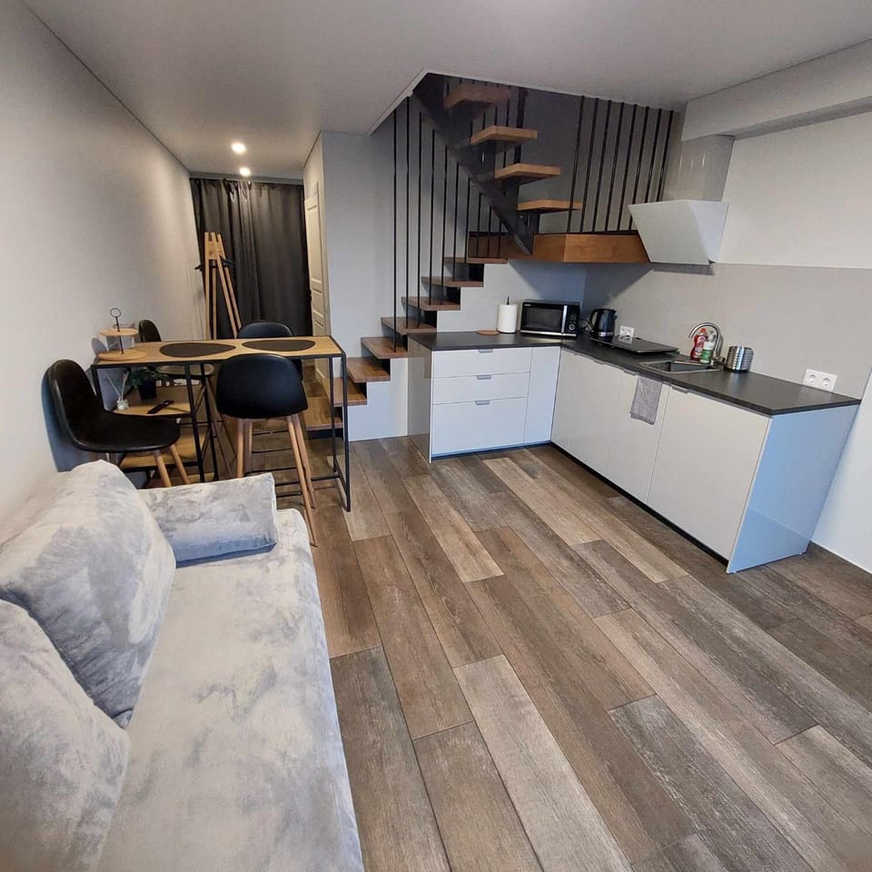 Kitchen or kitchenette, Living room, Dining area