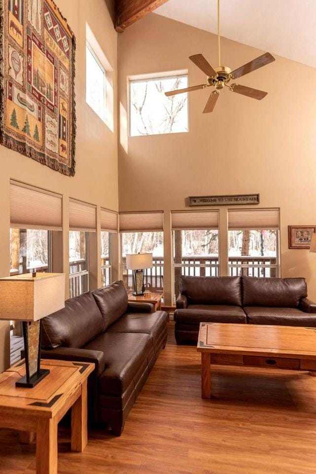 Beautiful Secluded Cabin with a Hot Tub near Monarch Mountain in Colorado Cabin in Colorado