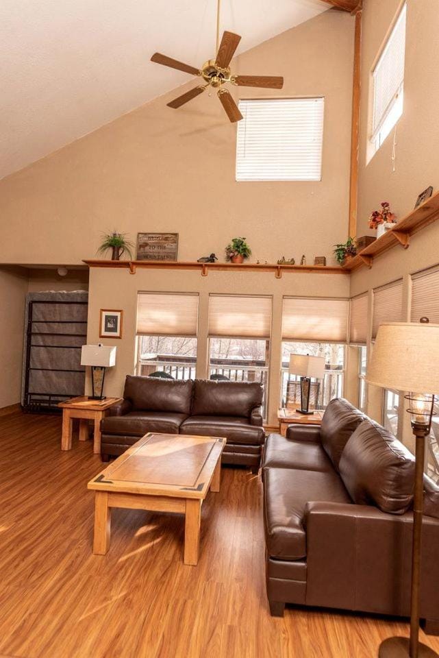 Weekend Getaway for Outdoor Recreation near San Isabel Forest in Colorado House in Colorado
