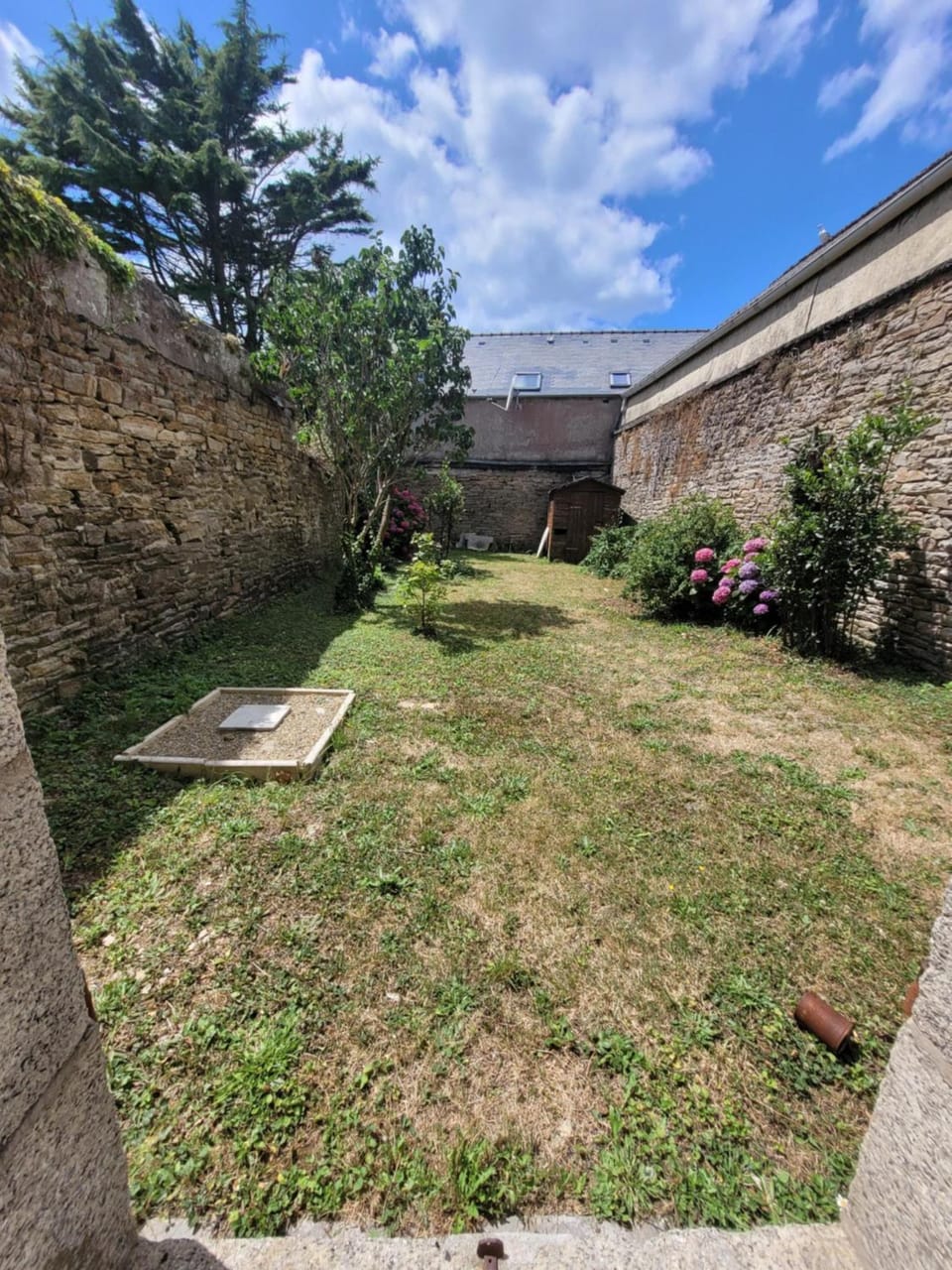 Garden view
