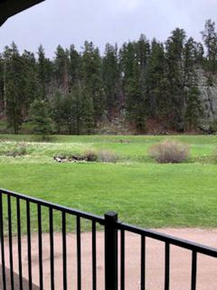 Trendy and Spacious Cabin Surrounded by Nature in Rapid City, South Dakota Cabin in West Pennington
