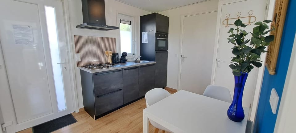 Kitchen or kitchenette, Dining area, oven, stove