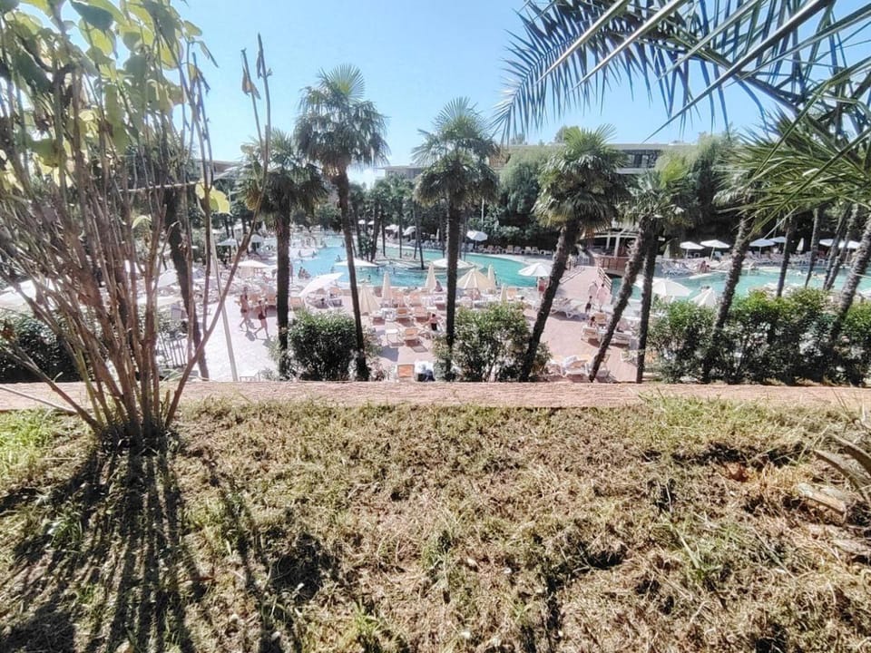 Day, Lake view