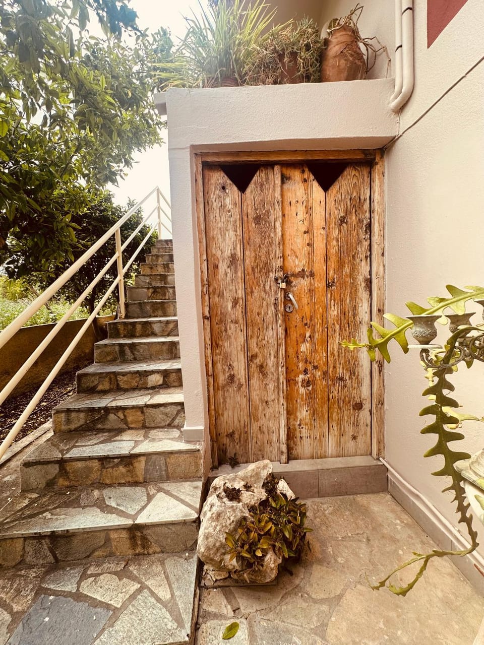 Facade/entrance, Day, Garden