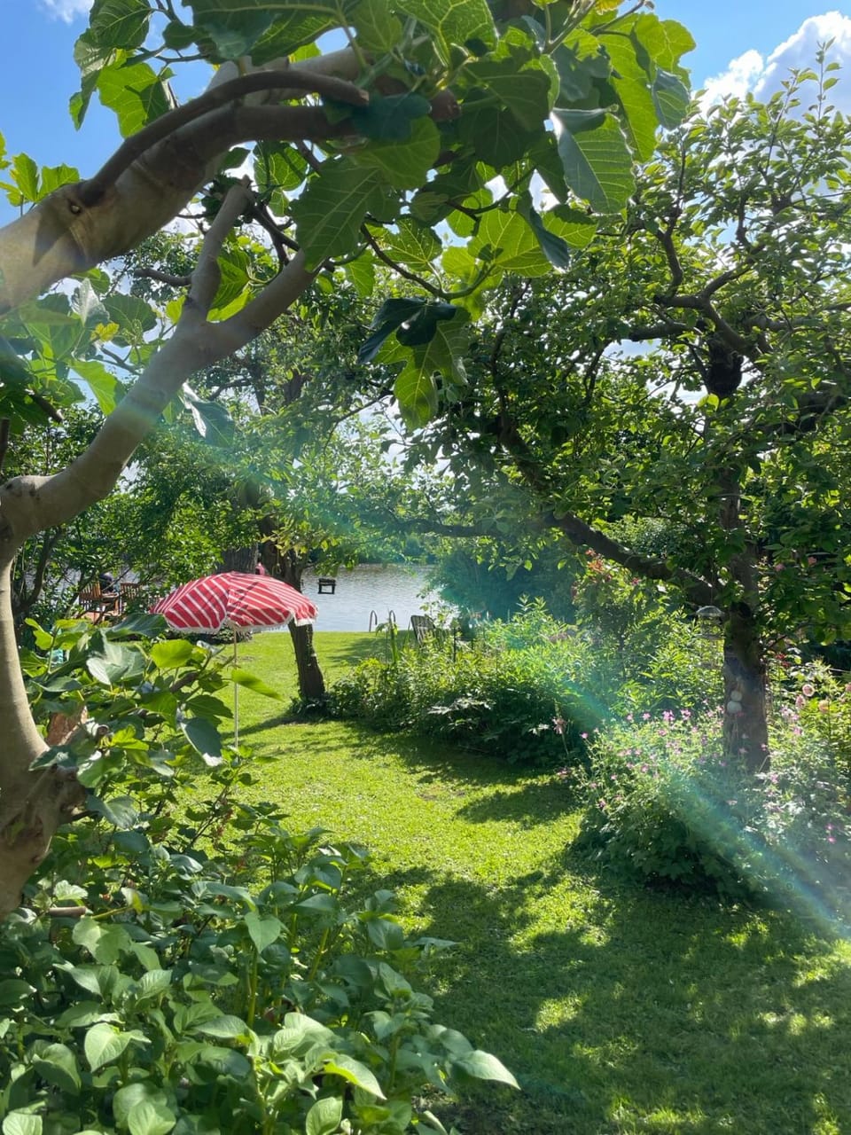 Garden, Garden