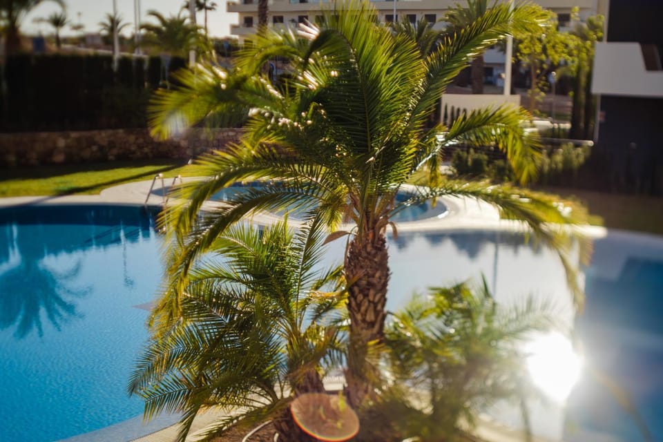Day, Garden, Garden view, Pool view, Swimming pool