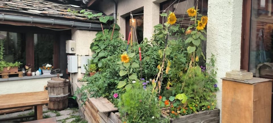 Spring, Day, Balcony/Terrace