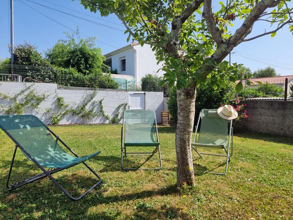 Day, Garden, sunbed