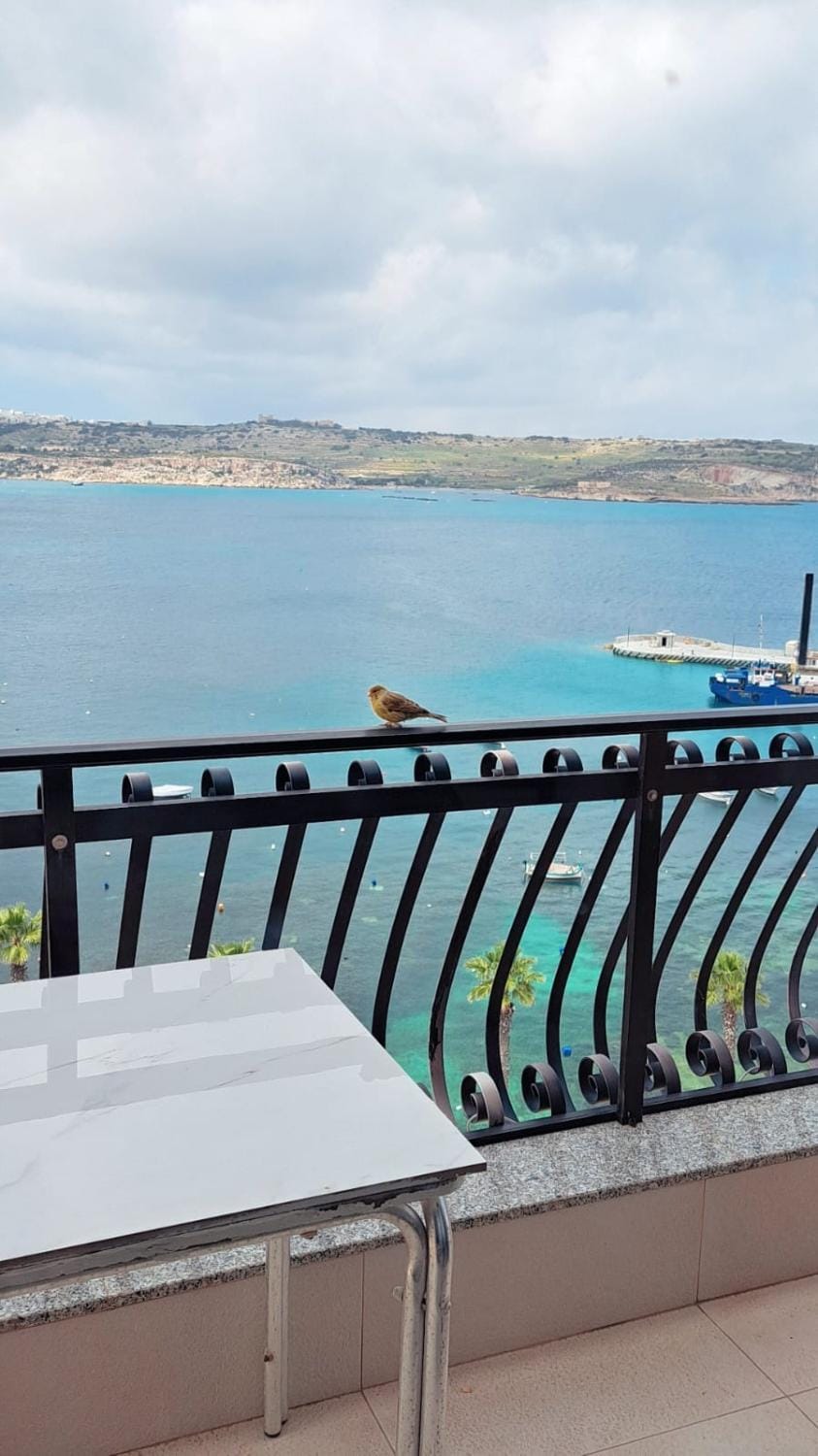 Sea view