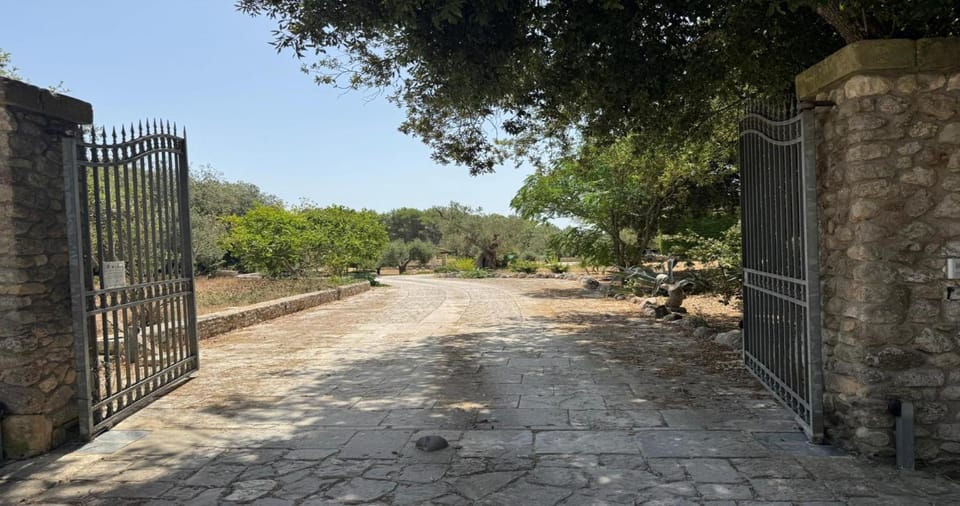Property building, Garden view