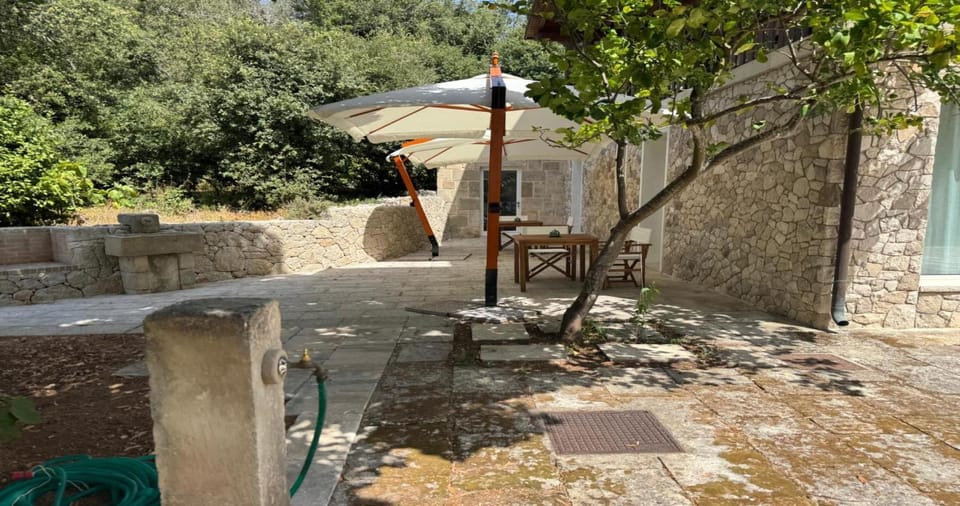 Property building, Garden, Garden, Garden view