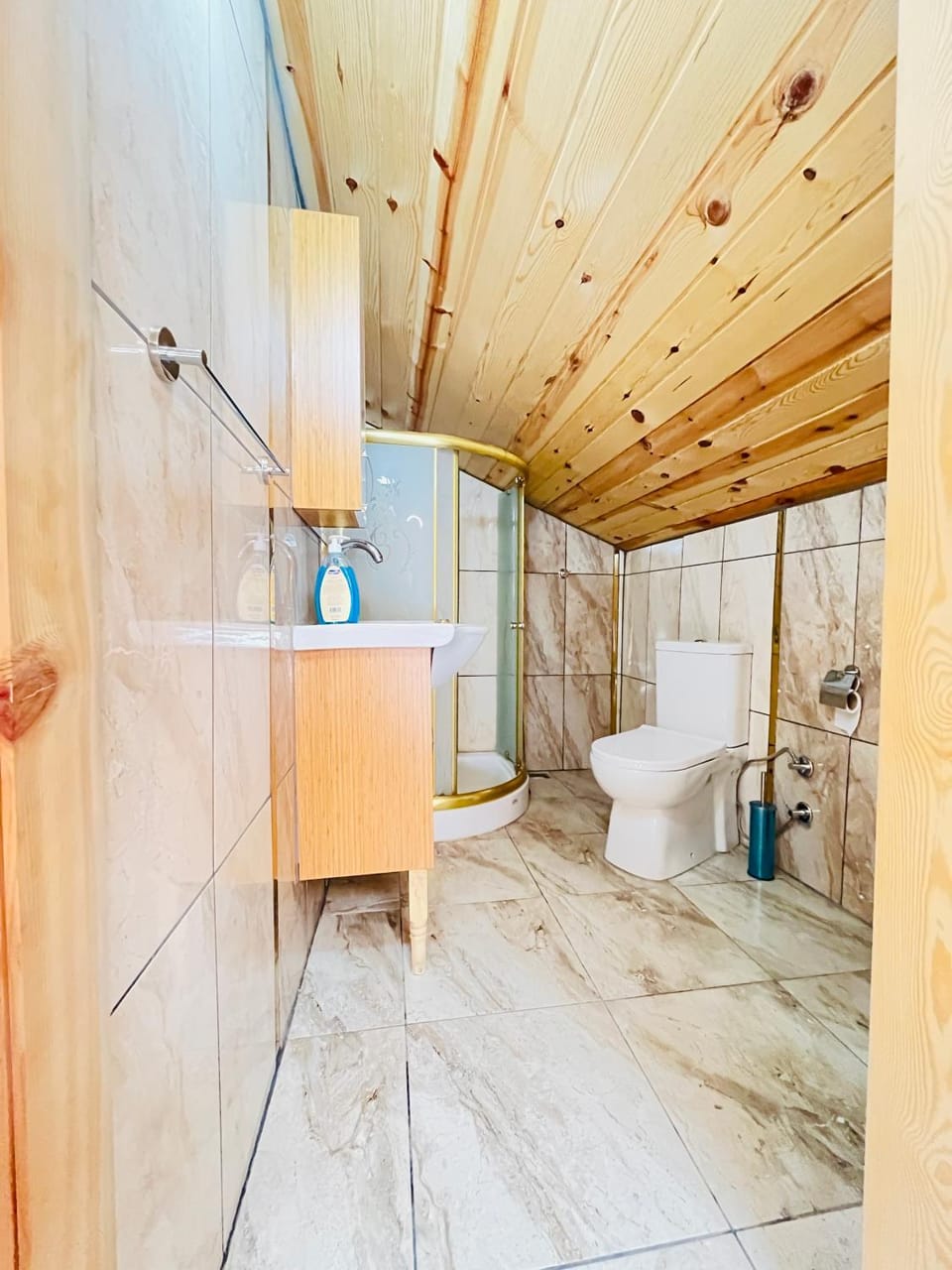 Shower, Toilet, Bathroom, bidet