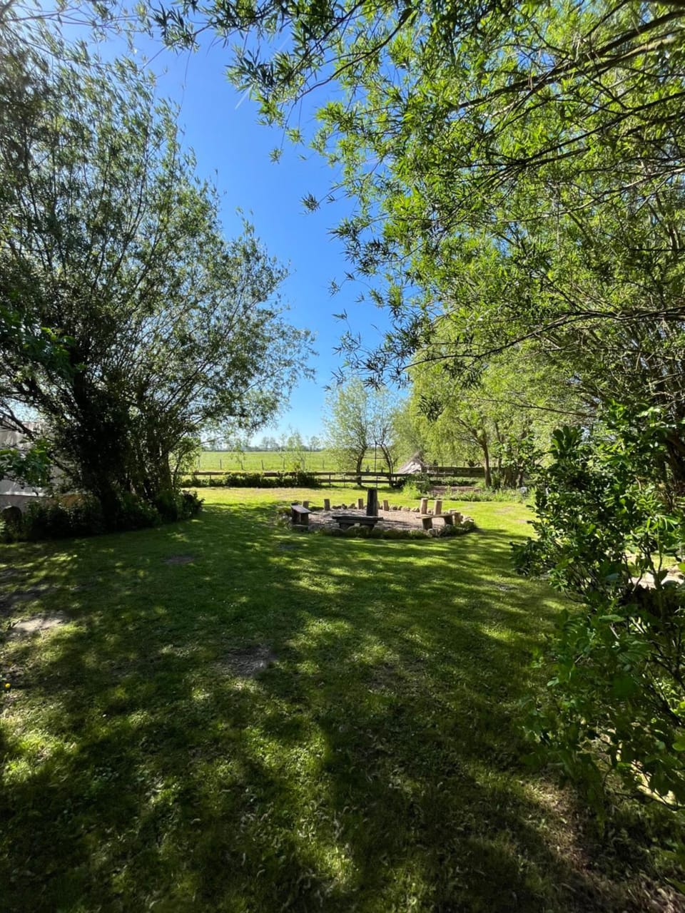 Spring, Day, Natural landscape, Garden, Garden view