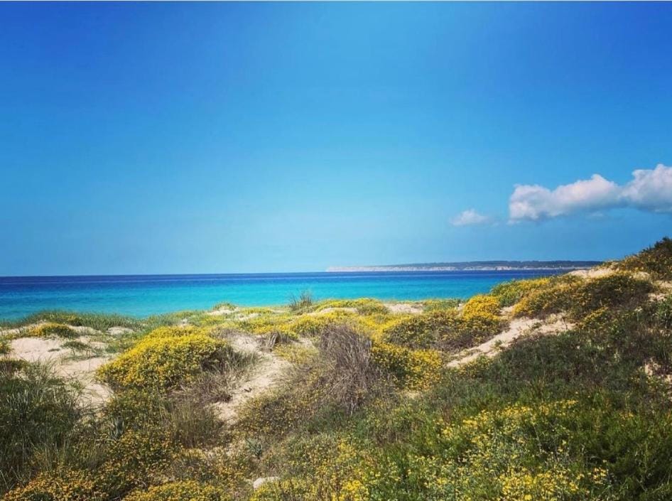 Nearby landmark, Natural landscape, Beach