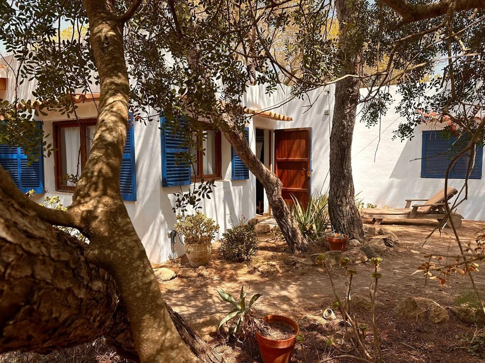 Property building, Garden view