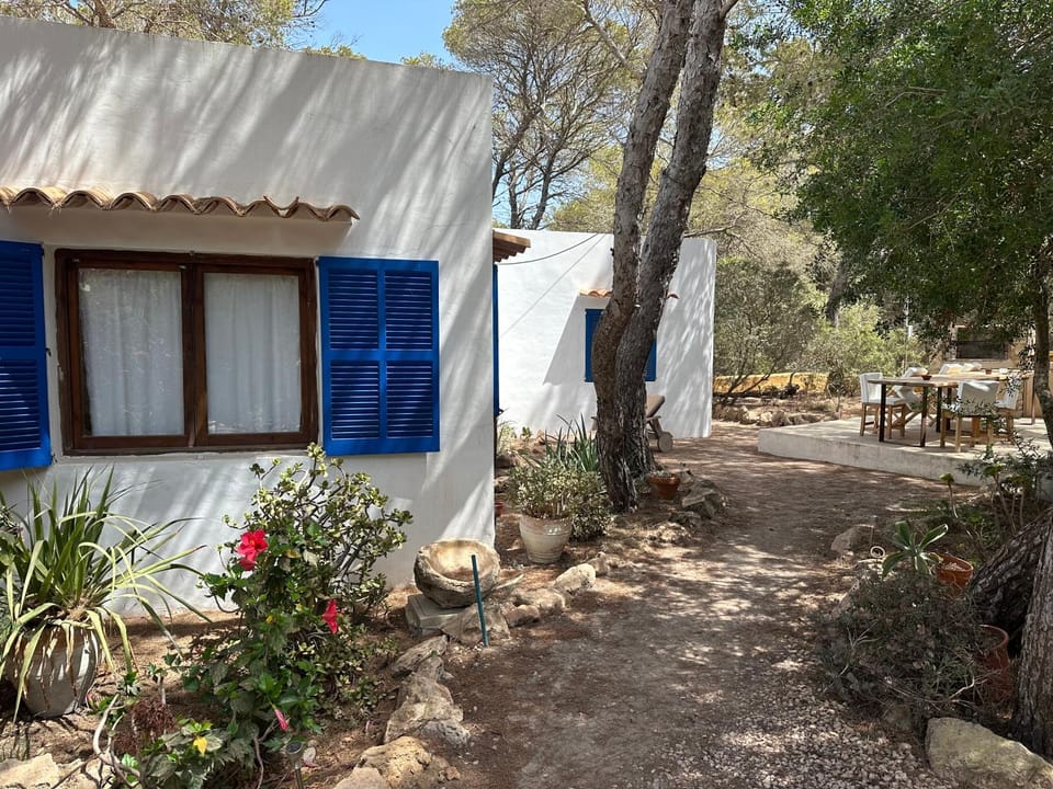 Property building, Garden, Garden