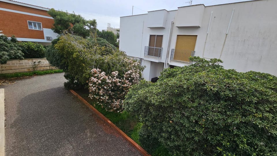 Property building, Garden, Garden view