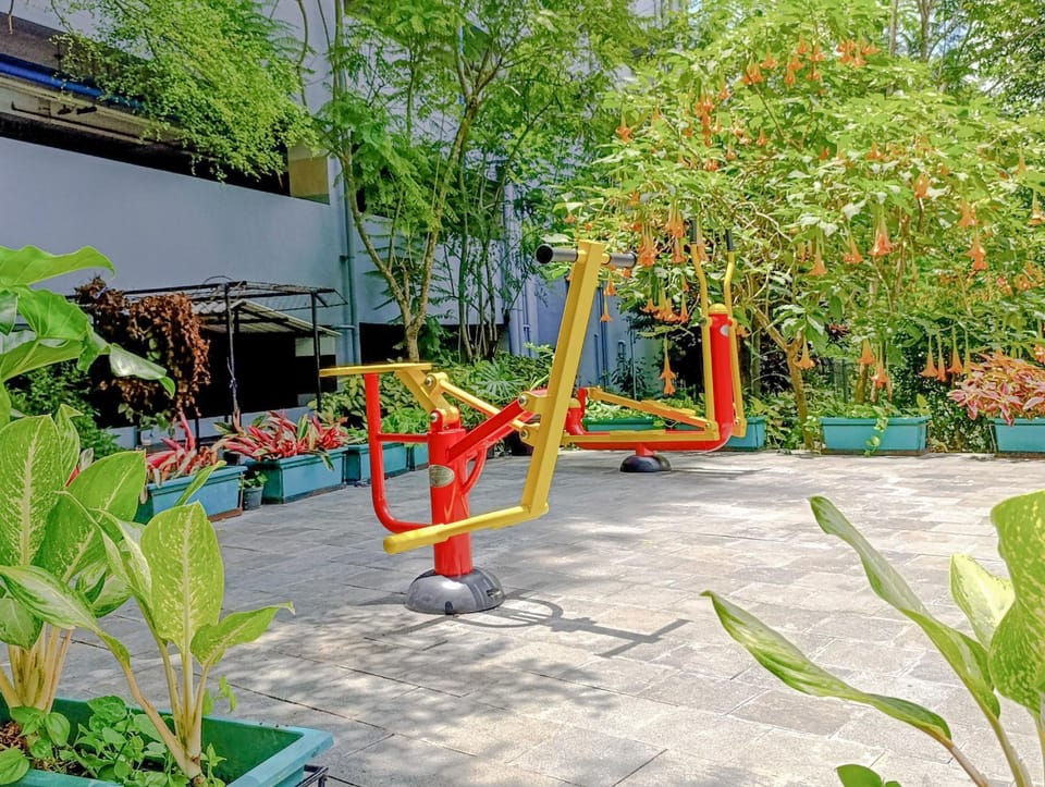 Children play ground