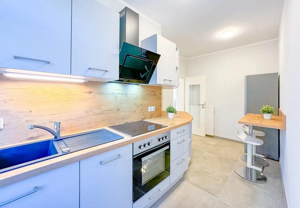 Geräumige Stilvolle Wohnung - Ihr perfektes Zuhause Apartment in Dresden