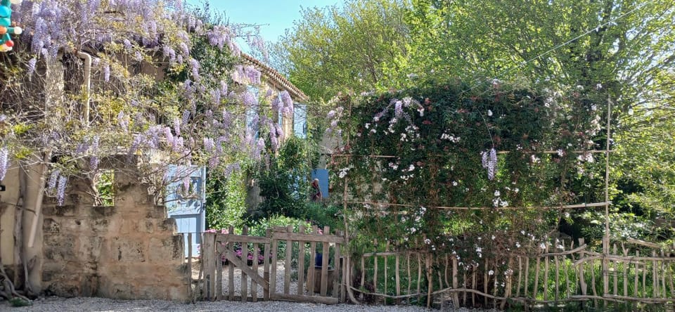 Spring, Garden, Garden view