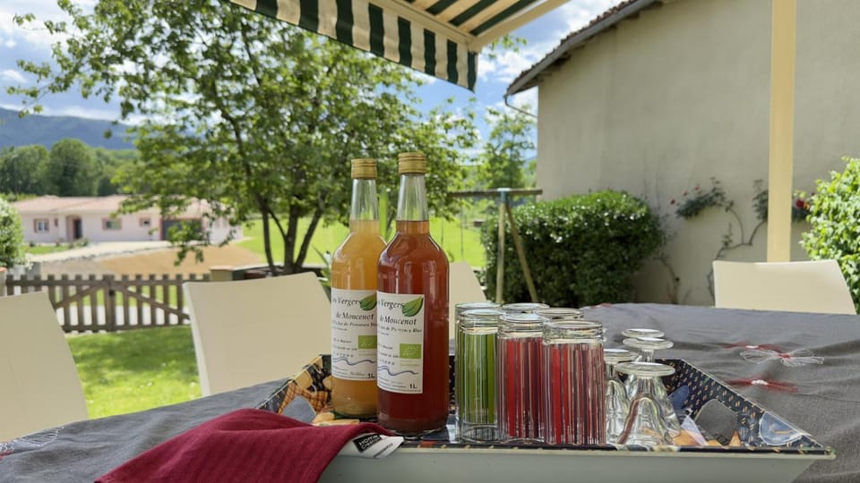 Le clos saint-paul - comminges House in Occitanie