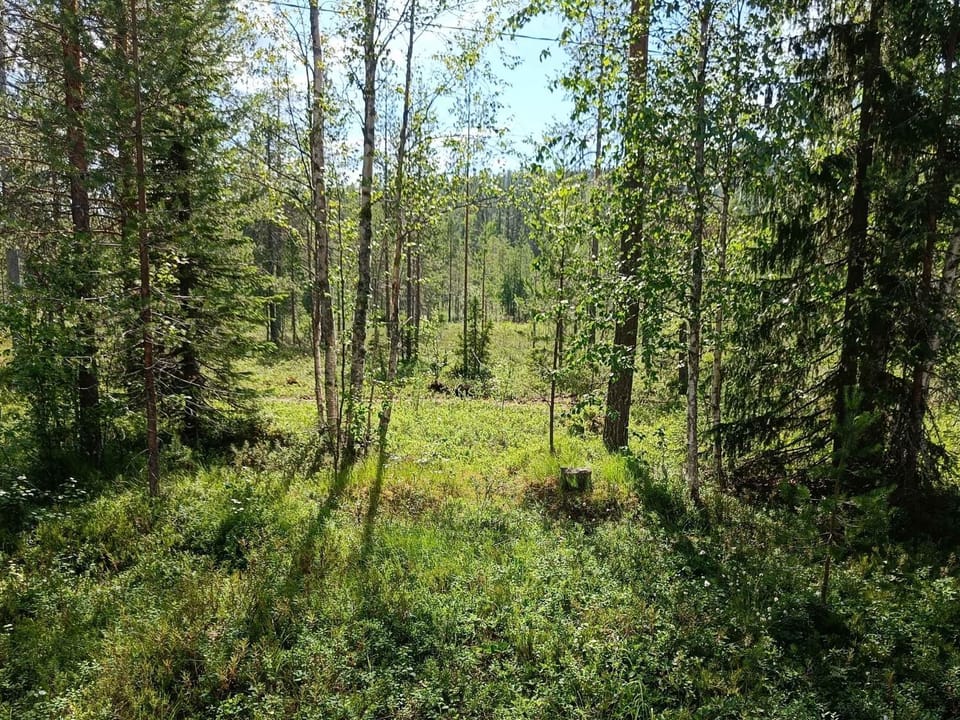 Alppivilla House in Lapland