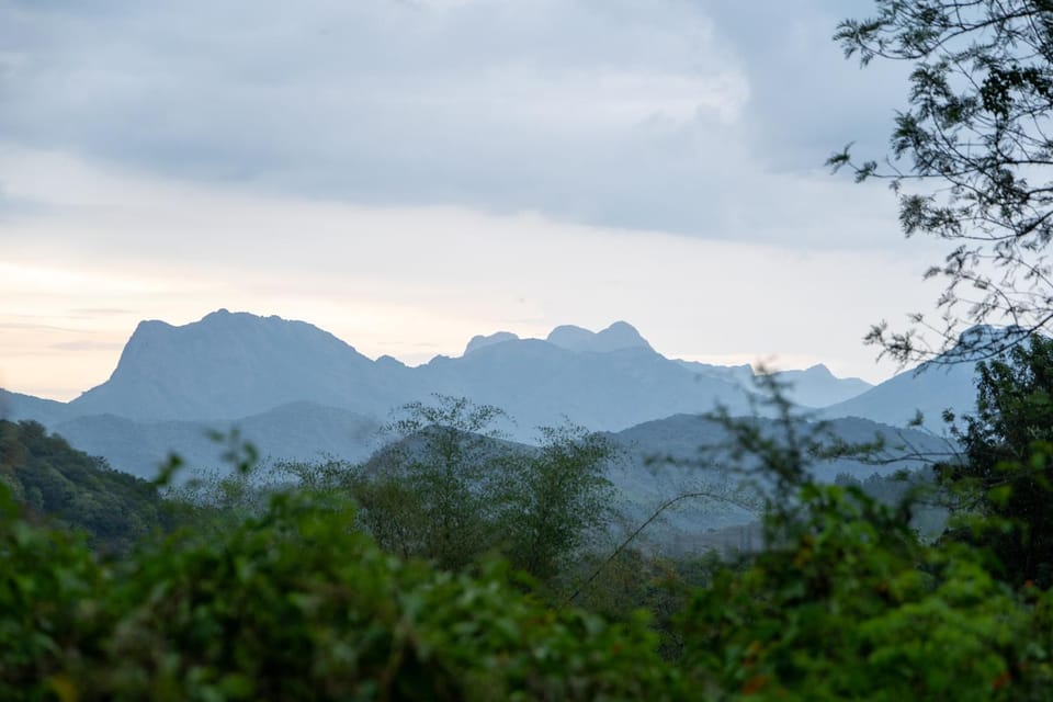 Mountain view