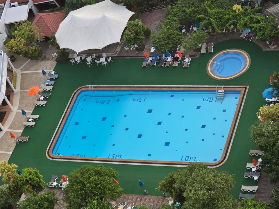 Garden, Swimming pool, sunbed