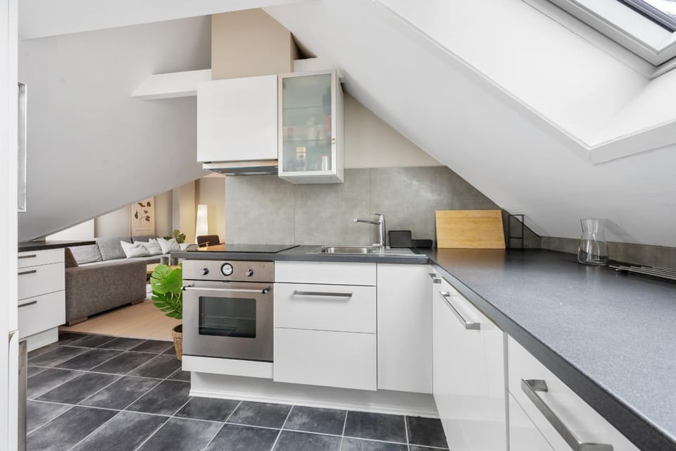 Kitchen or kitchenette, dishwasher, oven, stove